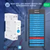 Nous D2T DIN-sín kompatibilis Wi-Fi-s fogyasztásmérős relémodul, Tasmota firmware, Matter kompatibilis, 20A