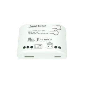   SmartWise 5V-32V egy áramkörös, Wi-Fi+Bluetooth NO/NC okosrelé + védőtok